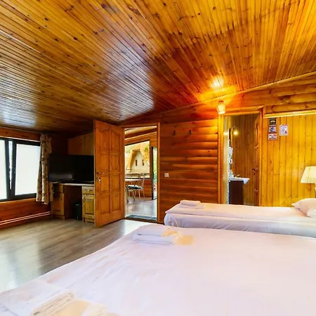 Homestay Casa Ivett Brasov