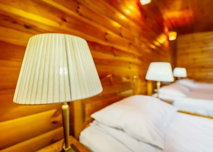 Homestay Casa Ivett Brasov